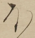 已定位𛃀