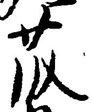 藤の位置