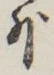「外」字