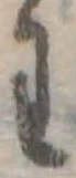 미지정 위치 확인됨