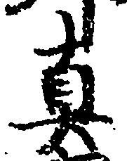 位置 確認된 真