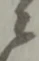ニ 위치 확인됨