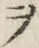 “ヲ”字