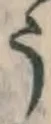 文字 う