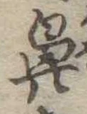 鼻 위치 확인됨
