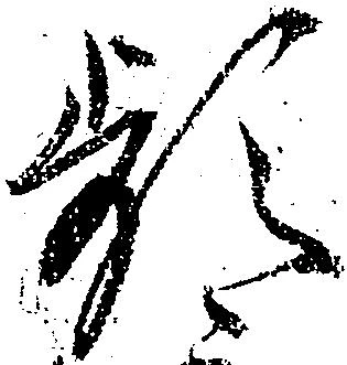 Đã định vị 頻