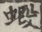 位置 確認된 蝦