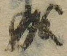 位置 確認된 成