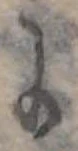 位置 確認된 𛂌