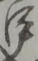 甲 위치 확인됨