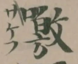 噭の位置