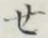 글자 せ