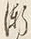 字漸