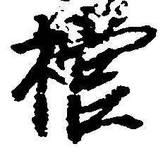 棺 위치 확인됨