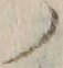 字ノ