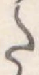 Đã định vị 𛁠