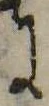 Đã định vị 𛂌