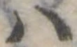 𛂞 위치 확인됨