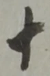 十 위치 확인됨