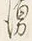 文字湧