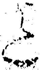 Đã định vị 迄