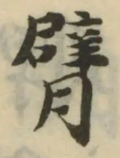 已定位臂