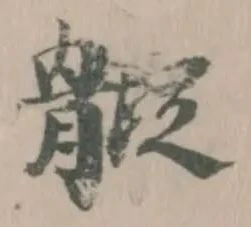 𩩱 위치 확인됨