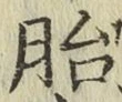 字胎