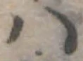 𛂞の位置