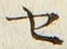 “セ”字