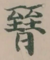 㬜の位置