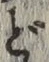 글자 ど