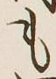 글자 も