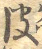 已定位皮