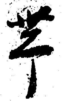 已定位帯