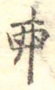位置 確認된 卵