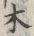 位置 確認된 木