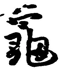 已定位亀