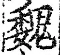 글자 魏