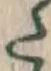글자 た