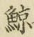 Character 鯨