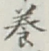 Chữ 養