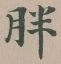 胖 위치 확인됨