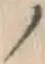 字ノ