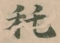 秅の位置