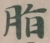 Đã định vị 脂