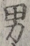 已定位男