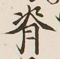 Chữ 脊
