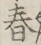 春 위치 확인됨