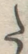 글자 た